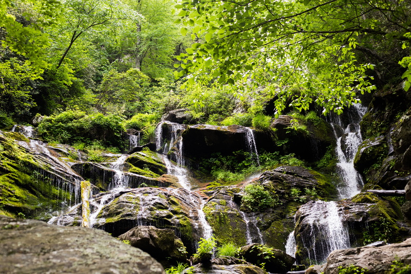 outdoors, growth, rock, waterfall, green color, 5K, flowing, motion, rock - object, long exposure, no people, solid, power in nature, falling water, forest
