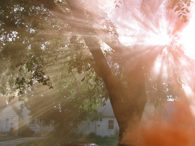 beauty in nature, glitters, shiny, pink, green, scattered, day, streaming, gardens, winter, sunbeam, building exterior, rays, built structure, sky, sunshine