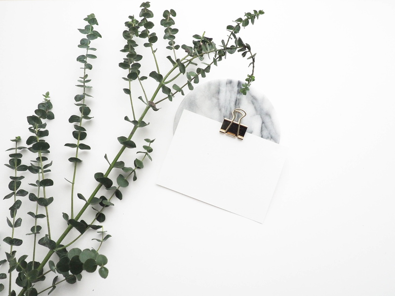 text, growth, nature, black, plant part, still life, beauty in nature, white color, high angle view, leaf, green, no people, paper, clip, copy space, green color