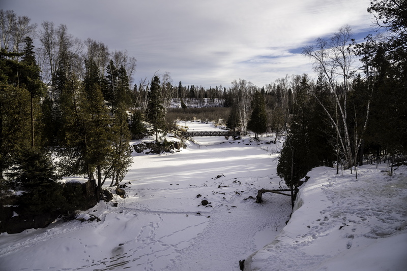 white color, cold temperature, plant, scenics - nature, covering, scenics, landscapes, snowcapped mountain, tree, outdoors, gooseberry, day, snow, tranquility