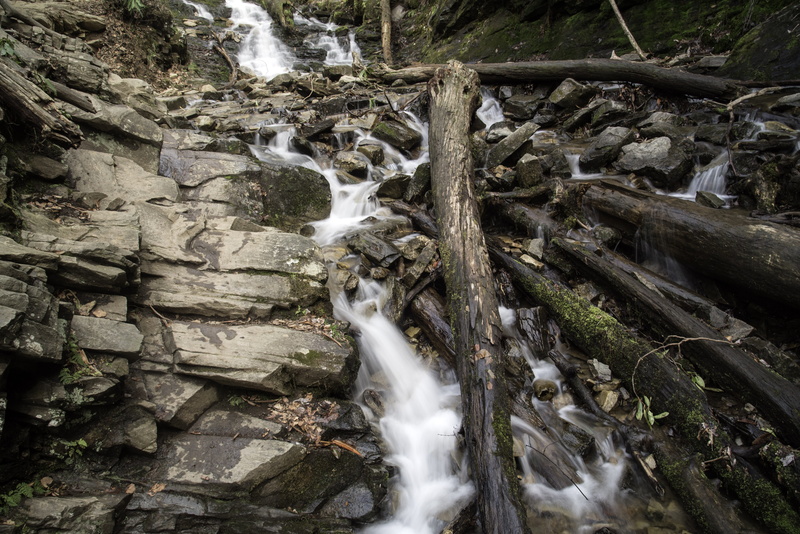 nature, logs, water, rocks, long exposure, North Carolina, forest, tree, day, north, power in nature, Whitewater, rock - Object, trunk, flowing Water, river