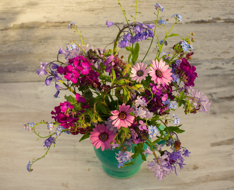 bells, honesty, cornflowers, 1080P, bouquet, osteospermum, forget-me-nots, geranium