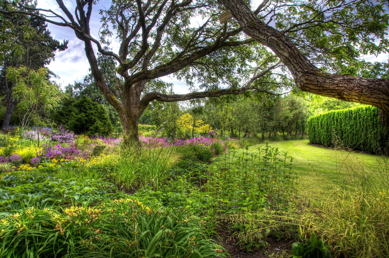 forest, nature, lawn, flowering plant, outdoors, green Color, multi Colored, trees, springtime, park - Man Made Space, sunlight, scenics - nature, color Image