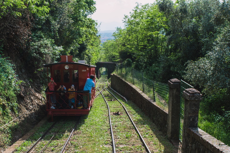nature, real people, rail transportation, tuscany, montecatini terme, growth, public transportation, men, plant, transportation, italy, outdoors, track