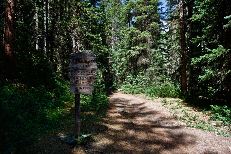 trail, national forest, sign, forest, green color, plant, colorado, footpath, communication, san isabel, tree, tranquil scene, scenics - nature, 5K, nature