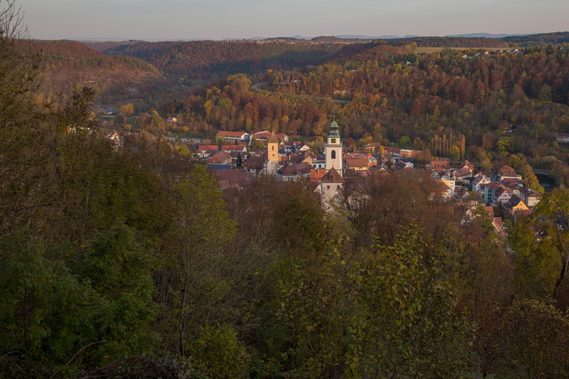 high angle view, horb am neckar, architecture, 4K, building exterior, environment, growth, built structure, plant, residential district, black forest