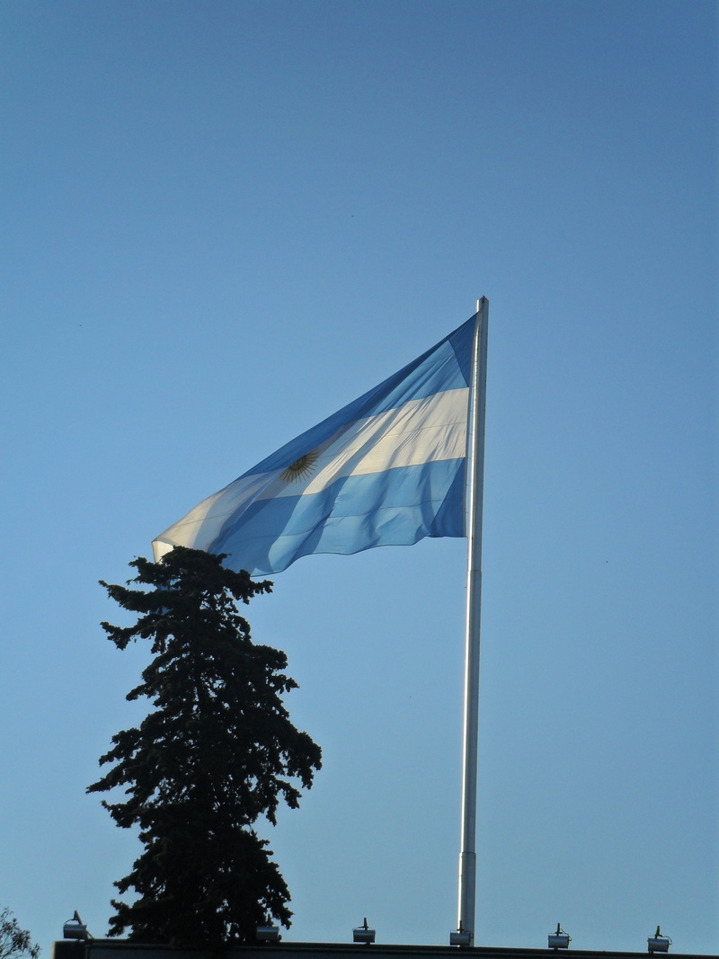 4K, tree, nature, environment, flag, blue, sky, latin, landmark, cityscape, wind, independence, no people, capital, patriotism, day, waving, low angle view