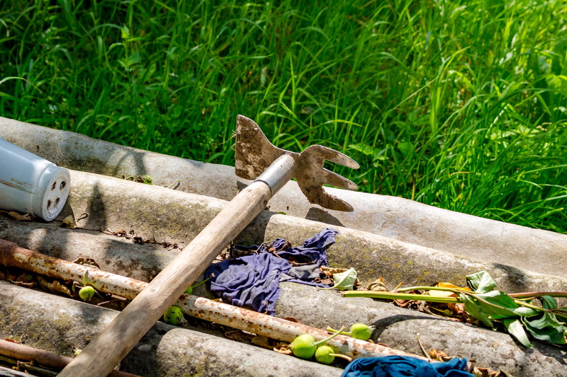 hoe, mode of transportation, loosening, vertebrate, plant, nature, green color, no people, growth, animal themes, garden, vegetable garden, 5K, wood - material