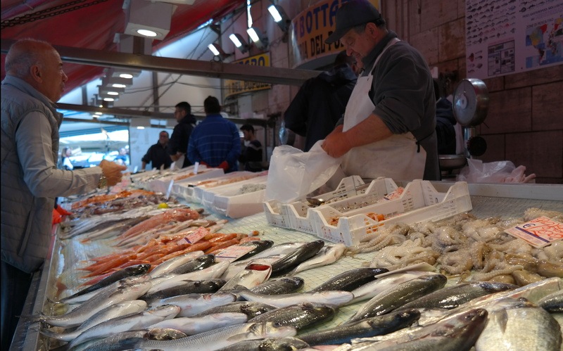 business, morning, selling, vertebrate, retail display, food and drink, freshness, sale, real people, fish market, fresh fish, variation, food, occupation