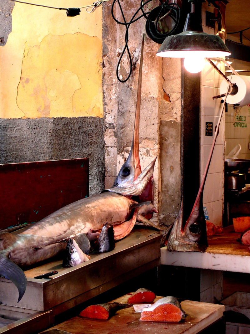 raw food, seafood, food and drink, healthy eating, day, food, animal, wellbeing, no people, market, retail, boat, 2K, hanging, fish, for sale, lighting equipment
