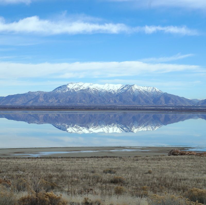 utah, Great Salt Lake, antelope island, nature, environment, grass, 4K, tranquil scene, scenics - nature, water, lake, winter, snowcapped mountain, day