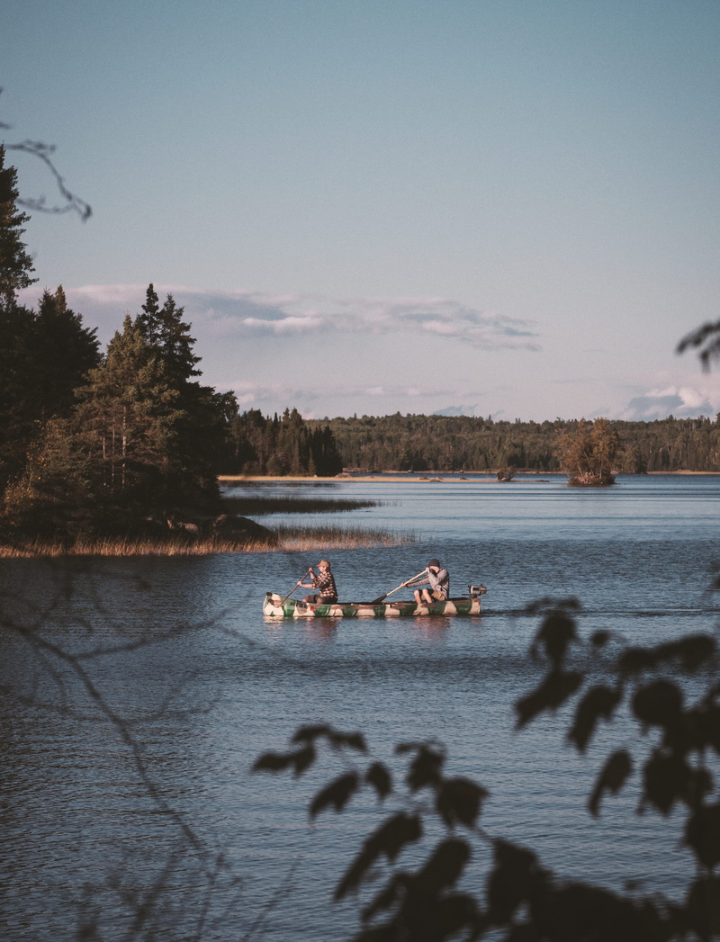 boats, animal themes, scenics - nature, mode of transportation, animal wildlife, outdoor, vertebrate, group of animals, group of people, fall, rowing, boat