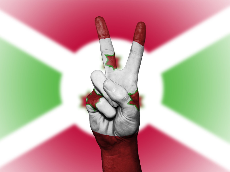 ensign, colors, banner, travel, symbol, state, country, background, art and craft, body part, indoors, pink color, human hand, flag, hand, education, national