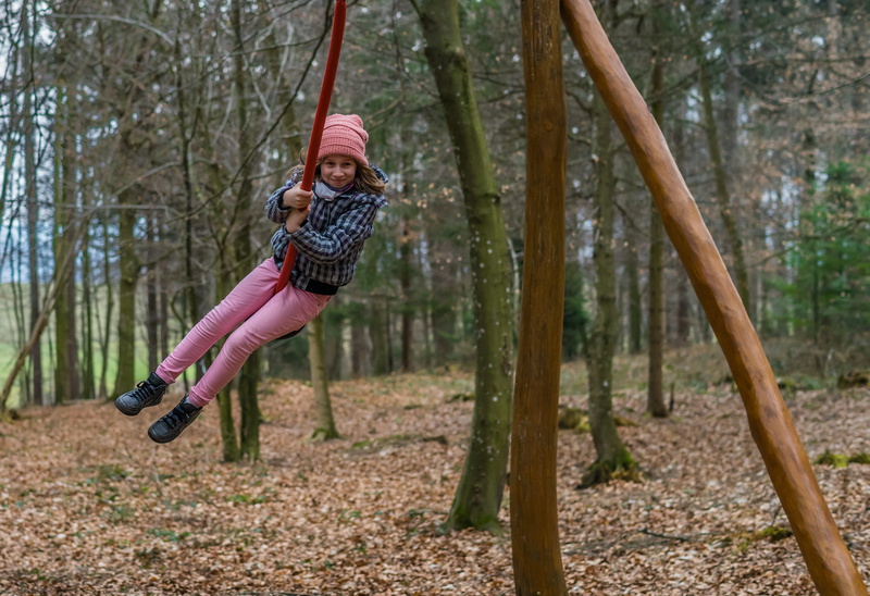 plant, forest, excitement, isolated, autumn colours, nice, outdoors, warm clothing, lifestyles, hanging, human, full length, out, girl, swing seat, action