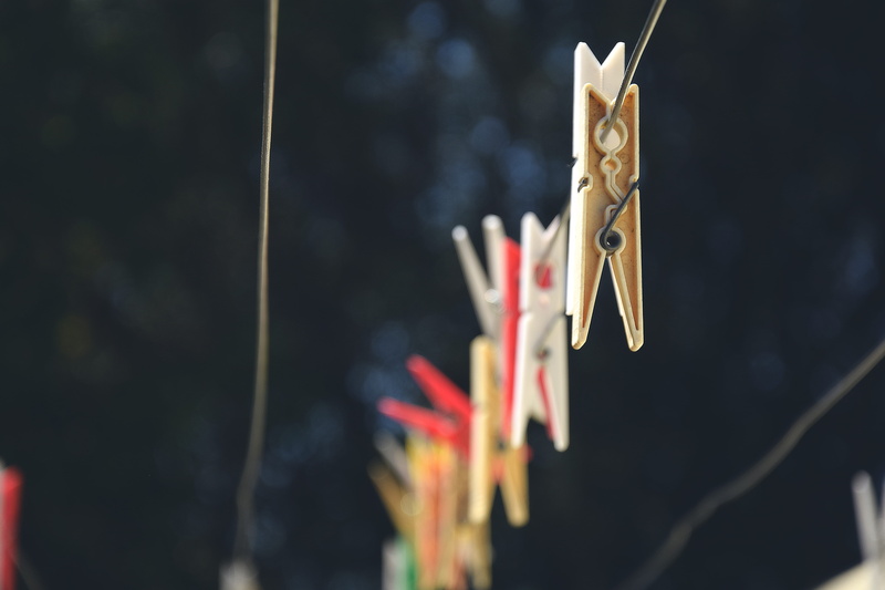 outdoors, hanging, clothespin, focus on foreground, no people, handwashing, hair, animal, drying, stick - plant part, nature, day, clothesline, clips, belief