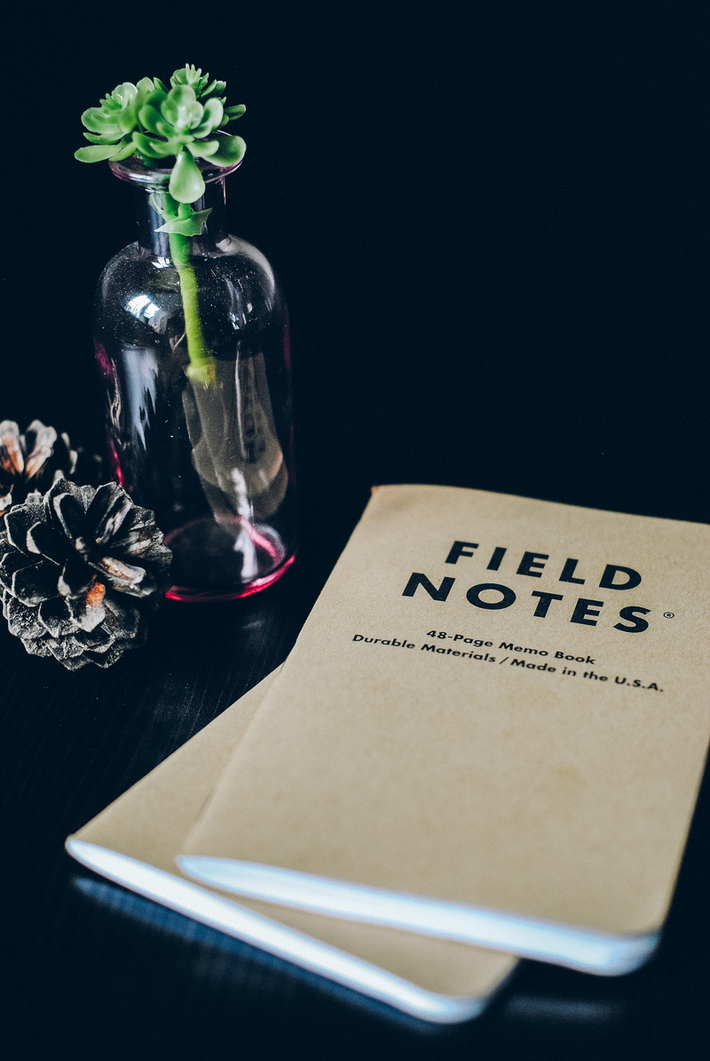 near, work, pine cone, freshness, 4K, field note, vase, flower, flowering plant, field, table, fashion, writing, black background, western script, still life
