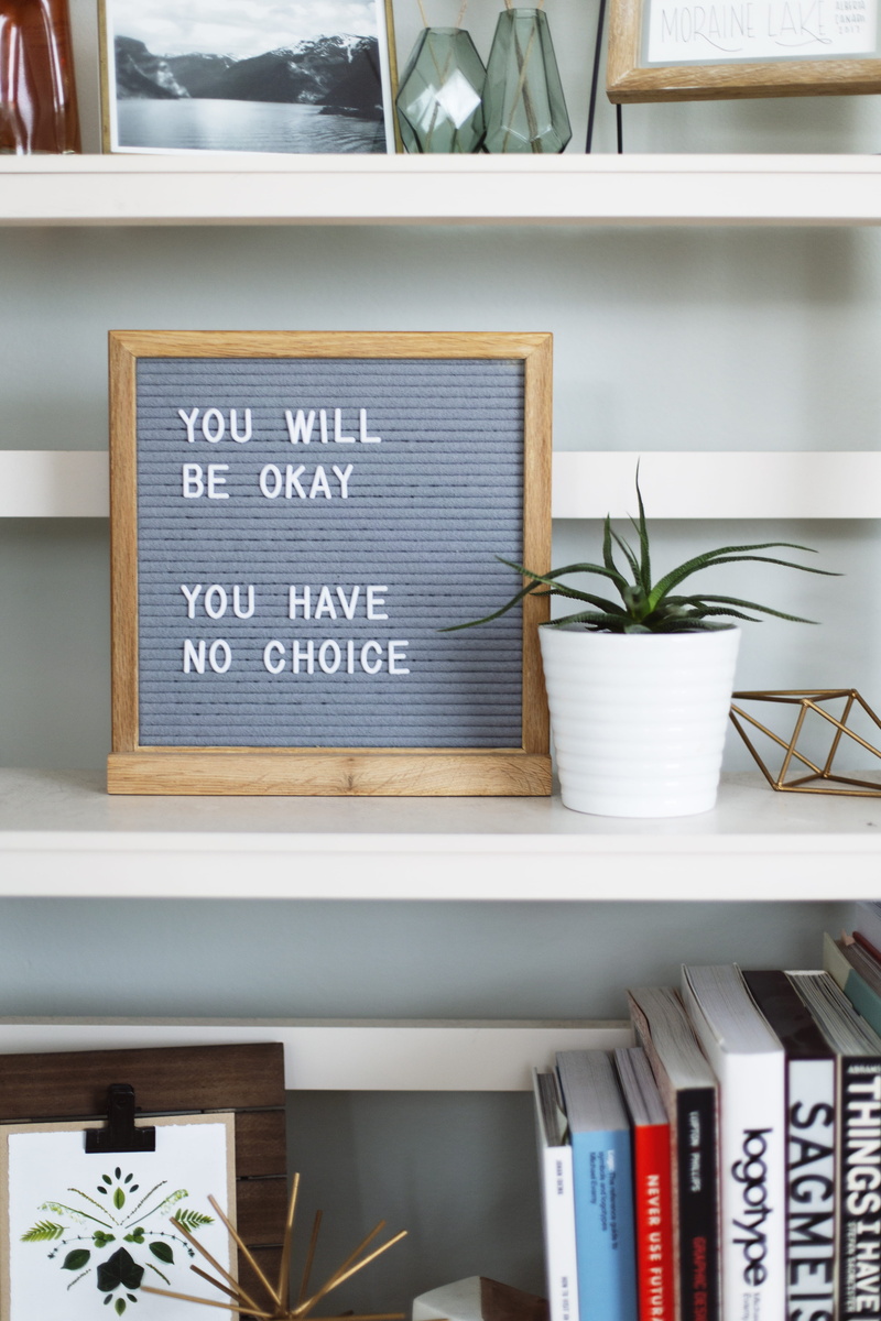 blackboard, board, day, text, bookshelf, will, furniture, okay, close-up, still life, potted plant, indoors, box, container, choice, western script, publication