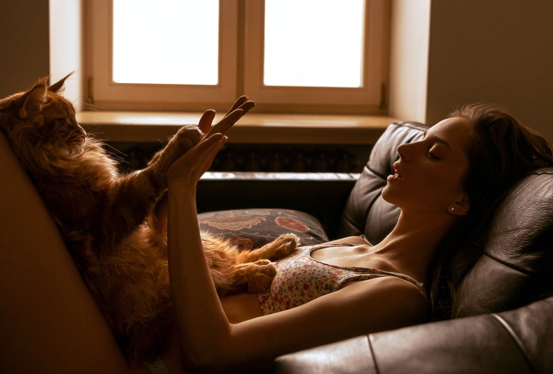Алина Грачёва, okay, cat, 2K, legs, Nu Panda, Maine Coon, girl, hands
