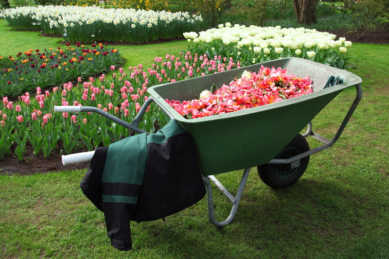 lawn, equipment, flower, formal garden, green color, grass, front or back yard, gardening, tools, ornamental garden, mode of transportation, tool, plant