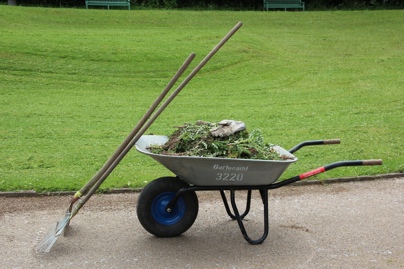 front or back yard, animal, land, 5K, day, Work, Garden, equipment, one animal, nature, plant, growth, no people, domestic, cart, mode of transportation