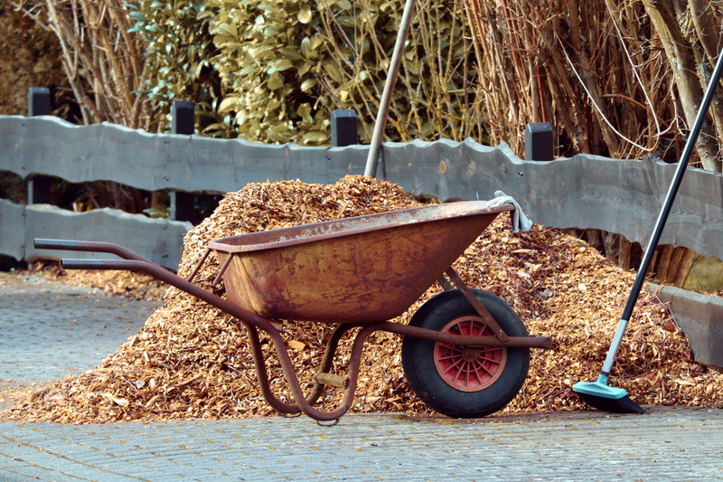 care, tools, gardening, mulch, water, hof, mode of transportation, broom, garden, abandoned, field, tree, 5K, clean up, rusty, equipment, transportation