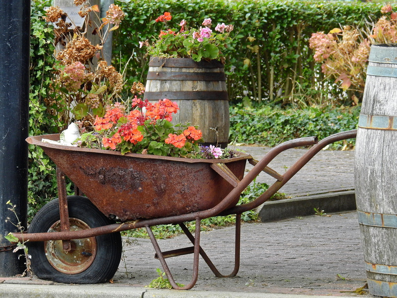 nature, Deco, potted plant, flower pot, Garden, green Color, no People, front or back yard, mode of transportation, beauty in nature, transportation, wheelbarrow