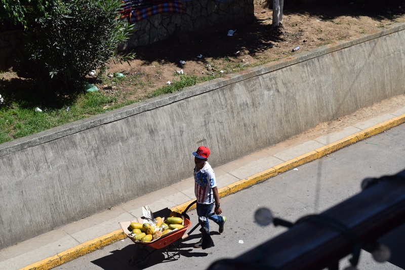 one person, 5K, high angle view, water, outdoors, nature, bridge, carrying, day, riding, men, plant, lifestyles, quiche, wall, e, mode of transportation