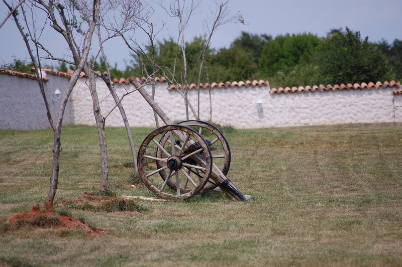 land, old, istria, garden, abandoned, field, sky, grass, rush, landscape, wood - material, tranquility, croatia, wooden cart, day, sliding barrow, cart