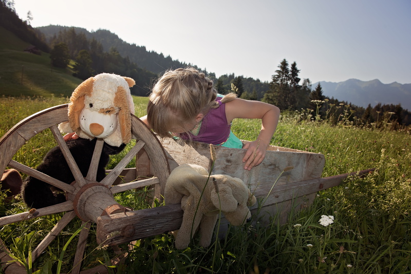 land, 5K, day, rural Scene, wheelbarrows, girl, sitting, farm, one person, leisure, farmer, field, transportation, meadow, plant, play, wheel, child, outdoors