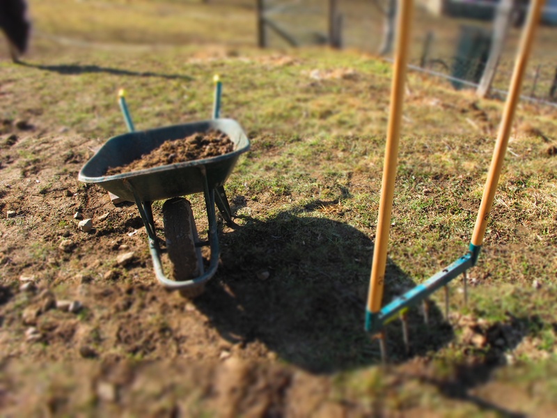 absence, garden, wheelbarrow, no people, food and drink, nature, outdoors, front or back yard, growth, land, metal, field, day, grass, close-up, preparation