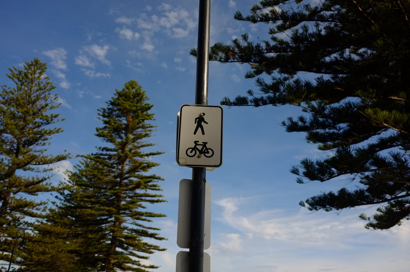 growth, guidance, number, plant, nature, pole, communication, low angle view, outdoors, glenelg, tree, road signs, signage, sign, cloud - sky, bicycle lane