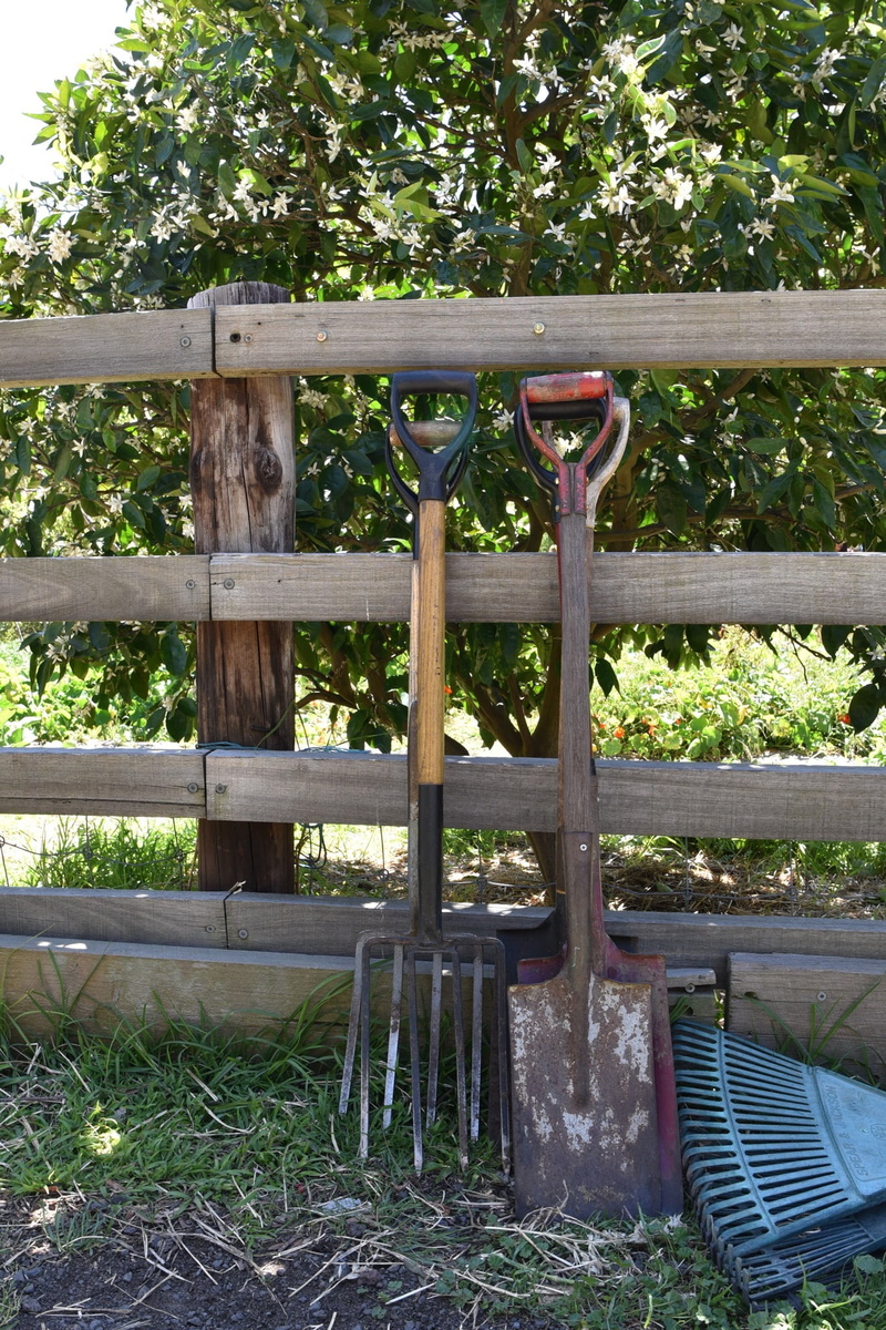 land, metal, safety, growth, green color, fence, shovel, outdoors, security, plant, tree, no people, wood - material, protection, park, day, farm, boundary