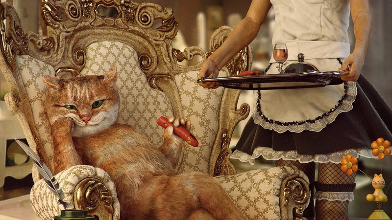mammal, real people, 1080P, cat, animals, lifestyles, domestic animals, one animal, digital art, Sausage, humor, standing, Wealth, Fishnet Stockings, Cigars
