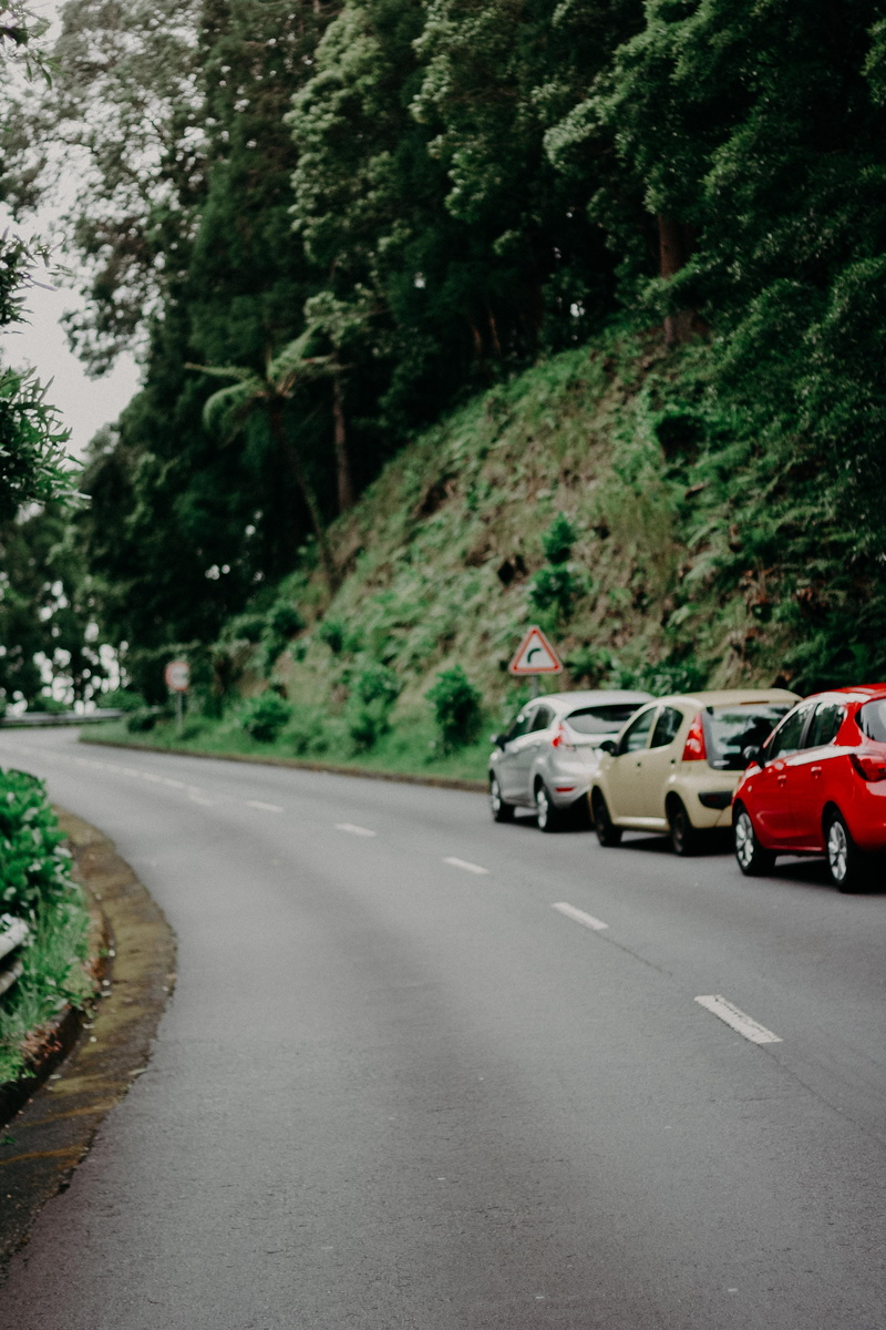 parked cars, transportation, nature, road trip, curve, guidance, expressway, the way forward, vehicles, trees, day, three, traffic, transportation system