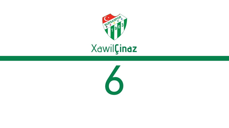 football, logo, 1080P, 1920x1080, bursaspor