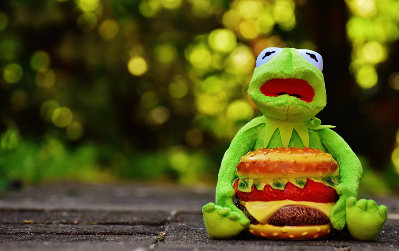 day, kermit, animal, unhealthy eating, children, fruit, humor, hamburger, sweet food, fun, focus on foreground, celebration, 5K, anthropomorphic face