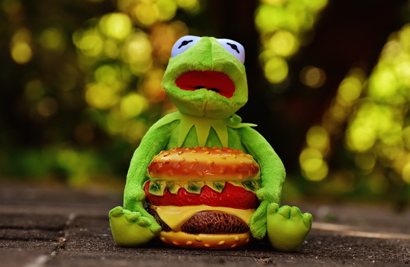 creativity, art and craft, fruit, kermit, vegetable, animal, funny, 5K, toys, bizarre, food, day, fun, no people, focus on foreground, food and drink