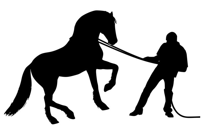 resistance, ranch, strong, mammal, studio shot, white background, vertebrate, farm, trick, aggression, fun, silhouette, stallion, pets, wild, legs, harness