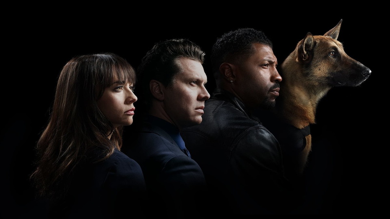 Dog, Angie Tribeca, German Shepherd, TV Show, 1080P