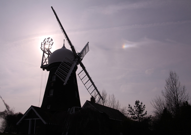 wind turbine, environmental conservation, Cereal, tree, Wheat, building exterior, silhouette, environment, sun, traditional windmill, built structure, wind power