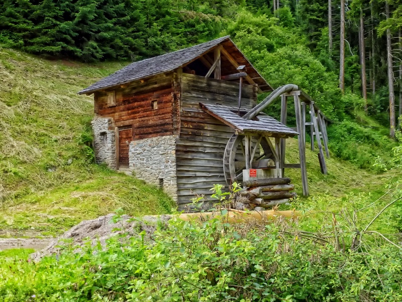 grass, house, country, architecture, 1080P, plants, building exterior, green color, mill, black, hdr, brown, outdoors, abandoned, cabin, land, forest