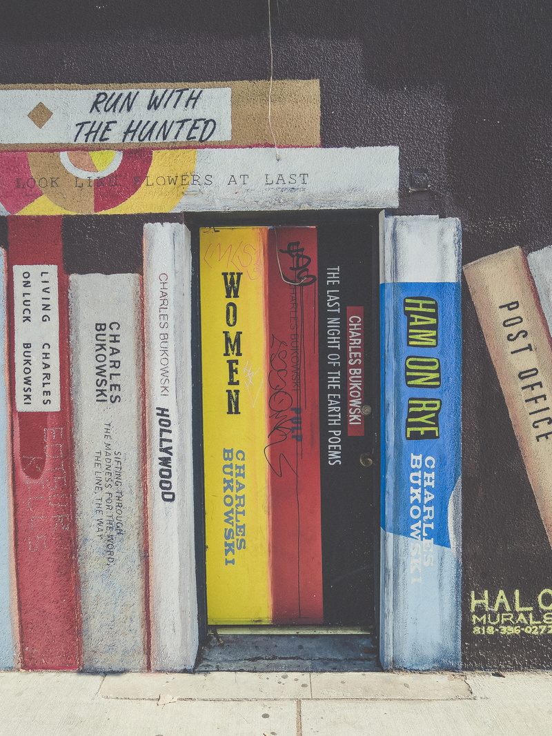 title, illustration, standing up, text, vertical, cover photo, bookshelf, literature, data, wall, artist, landscape, law, collection, drawing, business
