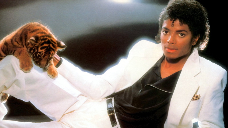 button down shirt, hairstyle, adult, business, waist up, mammal, young men, Singers, Michael Jackson, face to face, men, Tiger, one animal, 1080P, young adult