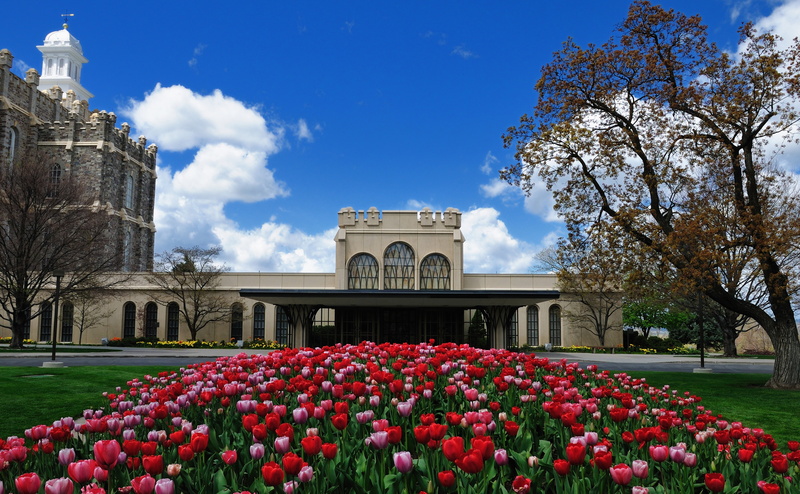 the past, lds, red, Temple, concrete, nature, gray, history, no people, United States, cloud - sky, building exterior, building, Utah, flowering plant