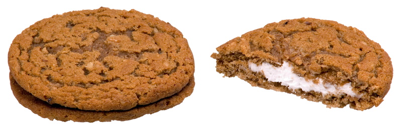 food, white background, delicious, dessert, baked, chocolate chip cookie, isolated, diet, close-up, cut out, gourmet, cake, cookie, brown, sweet, chocolate
