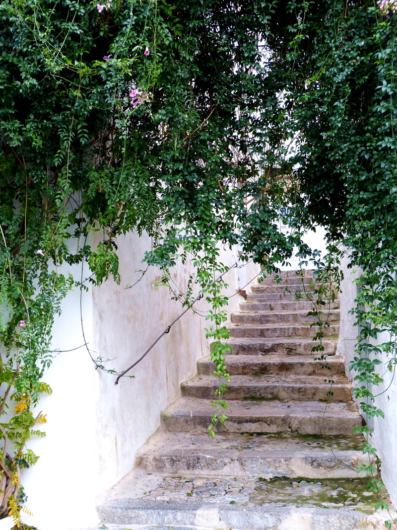 stone material, leaves, outdoors, railing, idyllic, old, wall, romantic, ibiza, ancient, romance, growth, steps, moving up, away, low angle view, no people