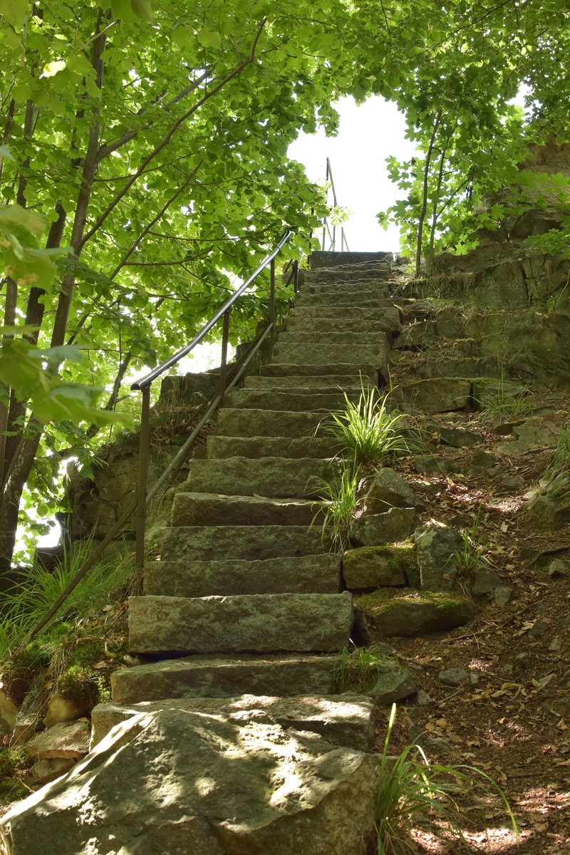 plant, deciduous forest, gradually, no people, green color, stone, nature, outdoors, stairs, the way forward, tranquility, growth, forest, in the clouds