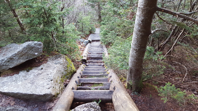 day, the way forward, beauty in nature, outdoors, staircase, solid, hiking, stairs, tranquility, footpath, land, green color, steps and staircases, tree