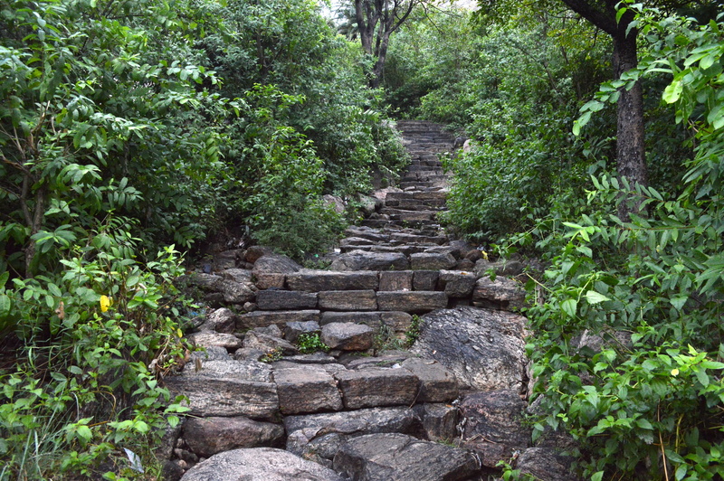 mountain, landscape, solid, no people, stone, staircase, the way forward, architecture, tree, travel, tranquility, scenery, ancient civilization, rock