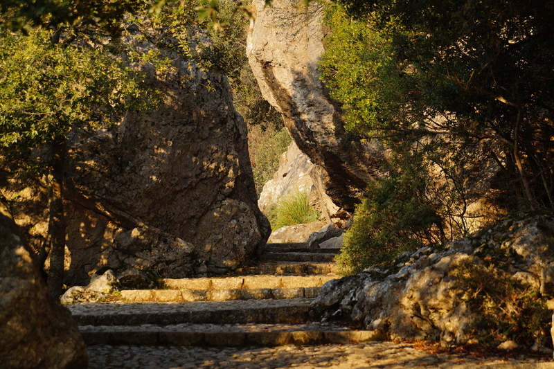 land, way of the cross, trail, gradually, path, wanderer, outdoors, day, tree, plant, 5K, tranquility, sunlight, away, stone, the past, hill, growth, upward